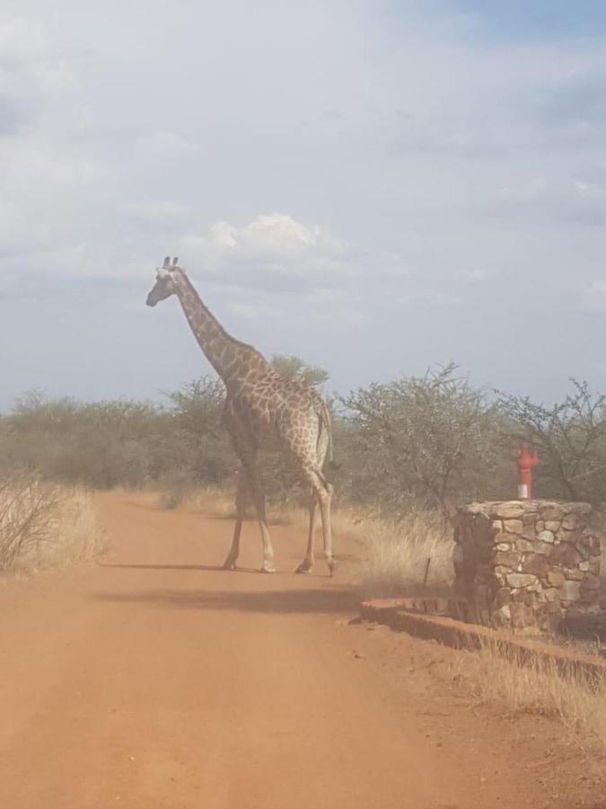 42@ Ditholo Game Lodge Thabazimbi Eksteriør billede